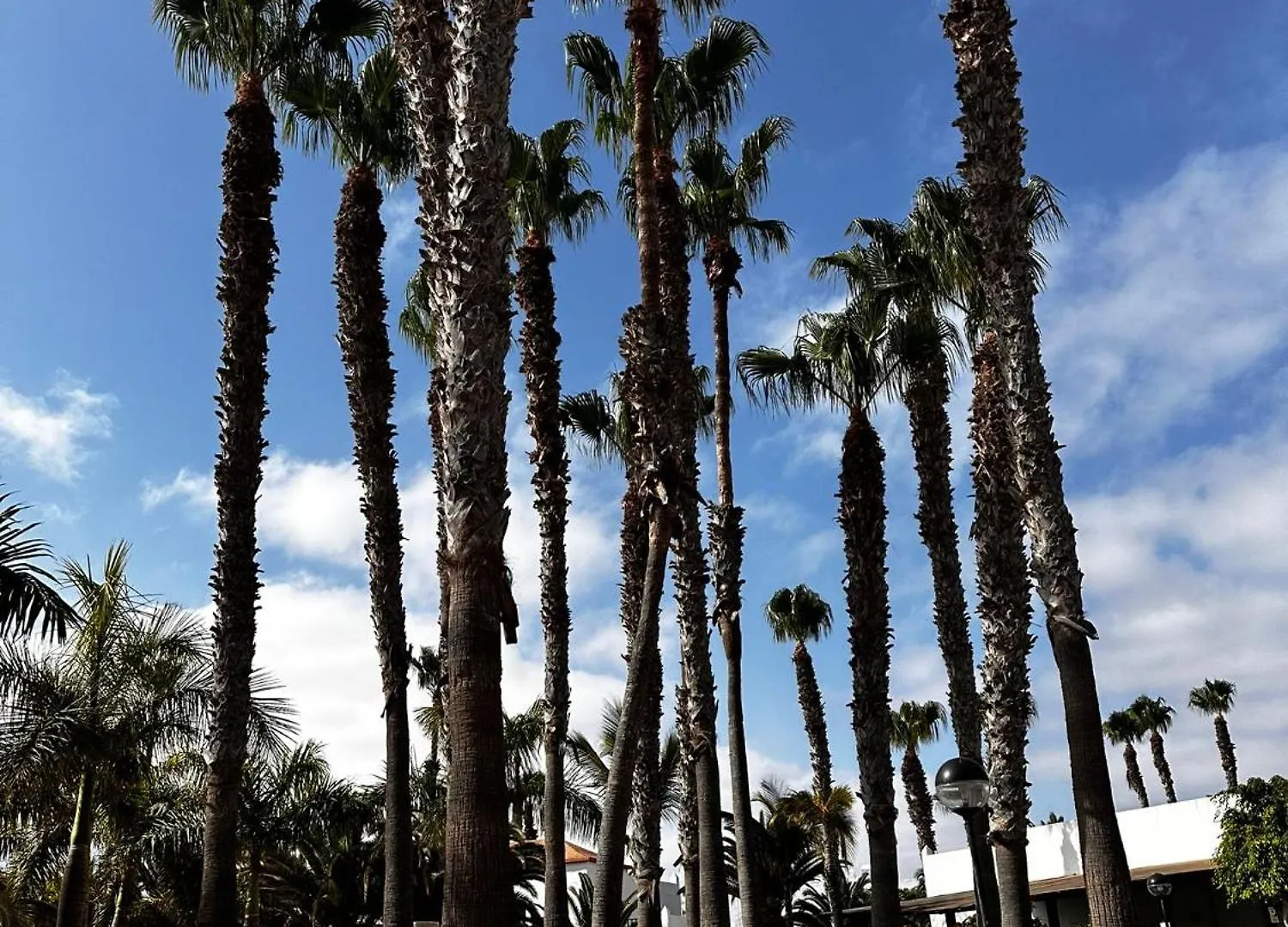 Lägenhet Casa Dunas Oasis Corralejo